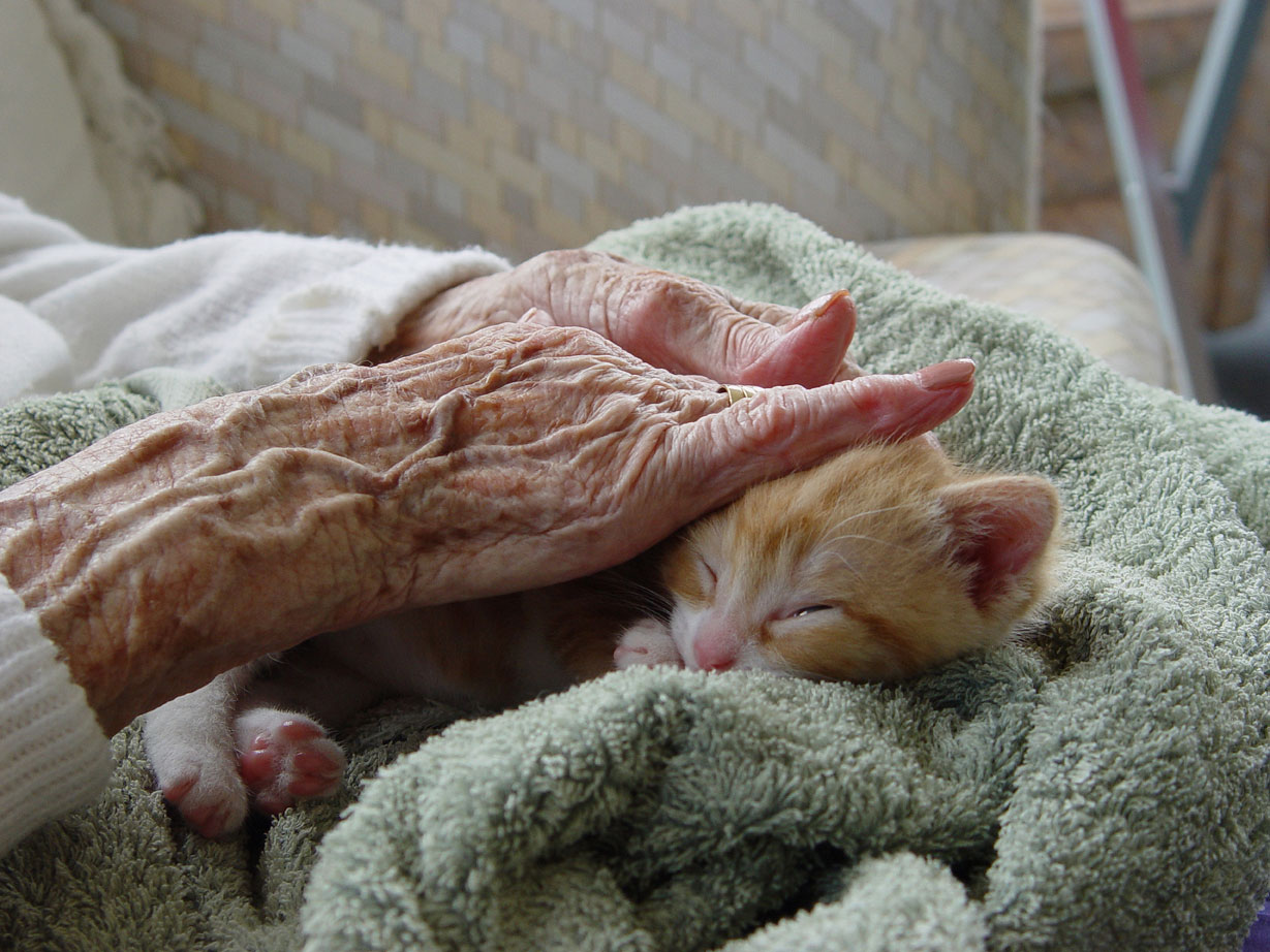 signs_nursing_home_neglect